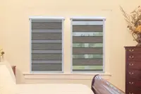 Window Blinds - TM5005
