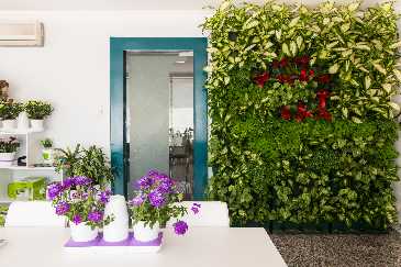 Artificial Garden For Your Indoors