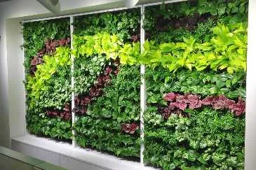 Artificial Vertical Garden Is The Right Choice