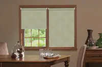 Window Blinds - 1551BO