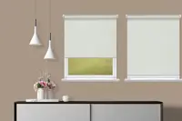 Window Blinds - A6101