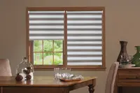 Window Blinds - A862