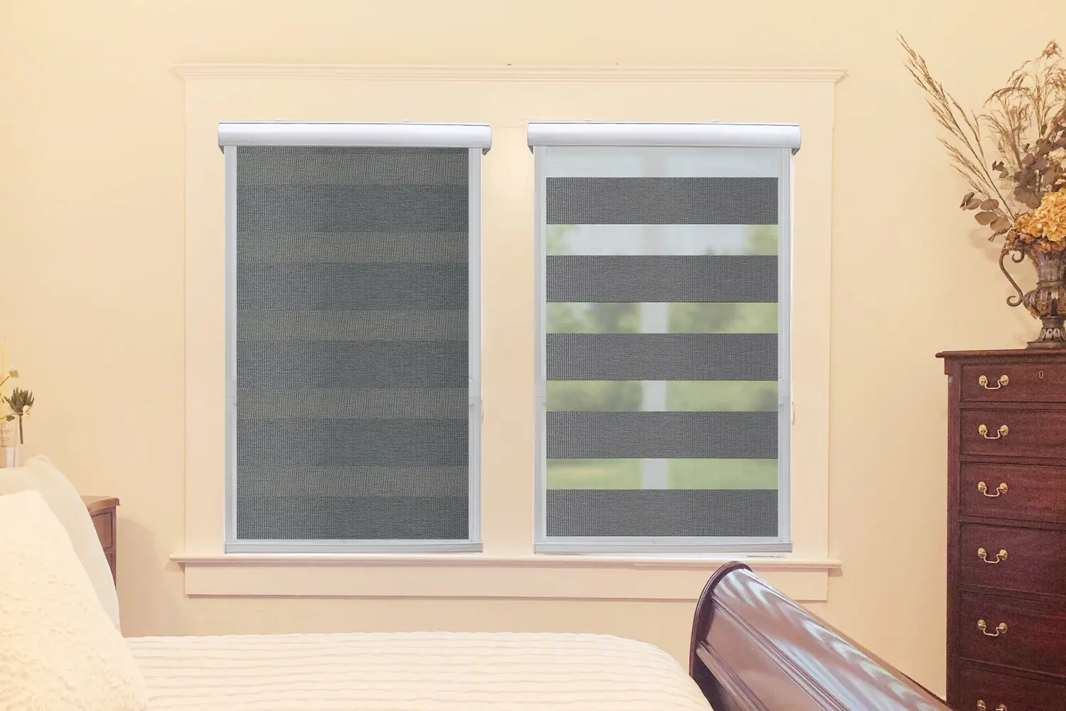 Window Blinds