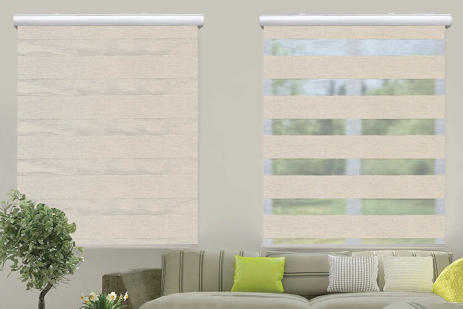 Window Blinds