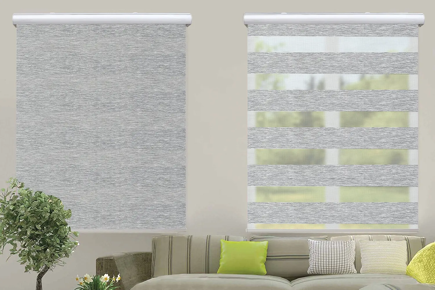 Window Blinds