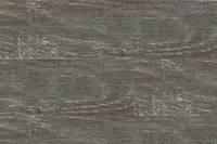 Adornis - Floor Coverings CV24184