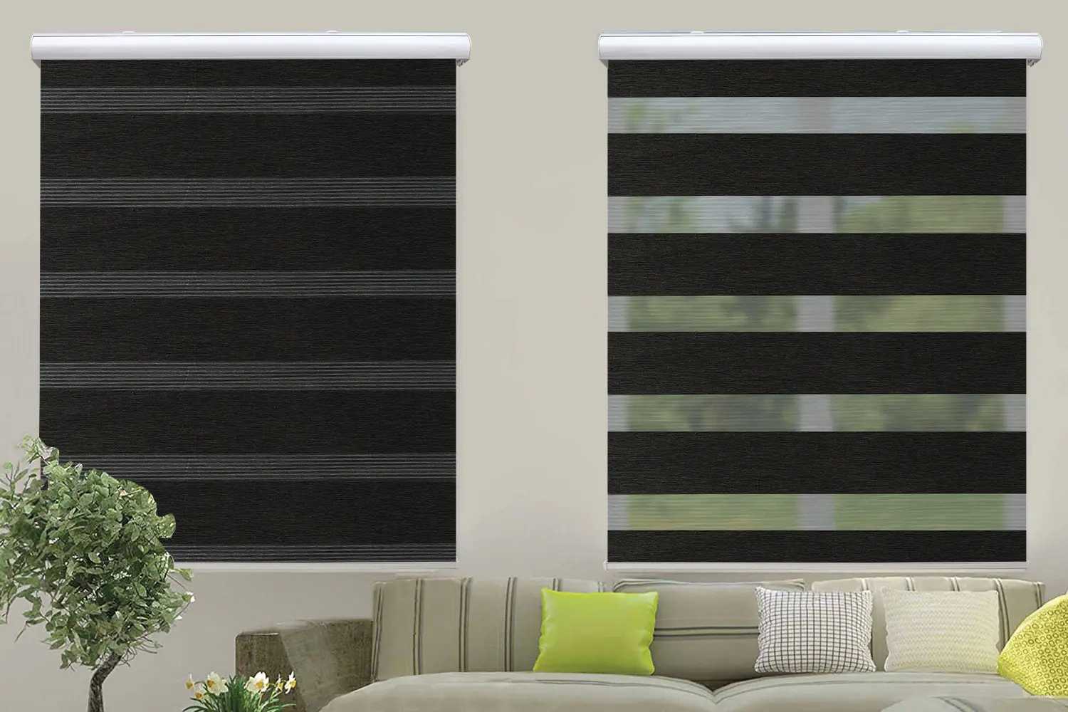 Window Blinds