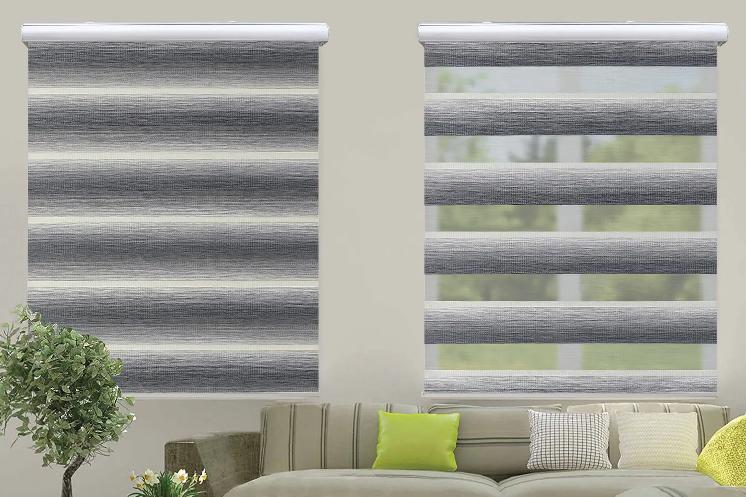 Window Blinds