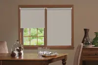 Window Blinds - L1501