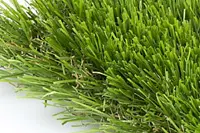 Adornis Artificial Grass / Artificial Plants store in Mumbai L45