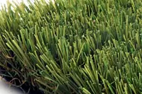 Adornis Artificial Grass / Artificial Plants store in Mumbai L50