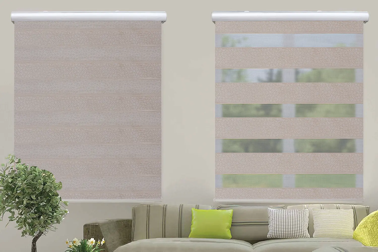 Window Blinds