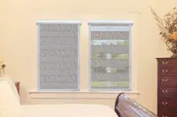 Window Blinds