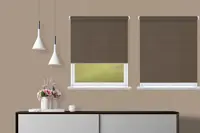 Window Blinds - R9503