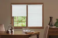 Window Blinds