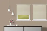 Window Blinds