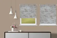 Window Blinds