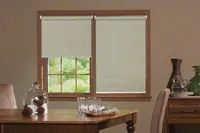 Window Blinds