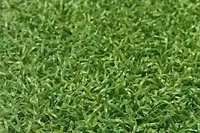 Adornis Artificial Grass / Artificial Plants store in Mumbai S13