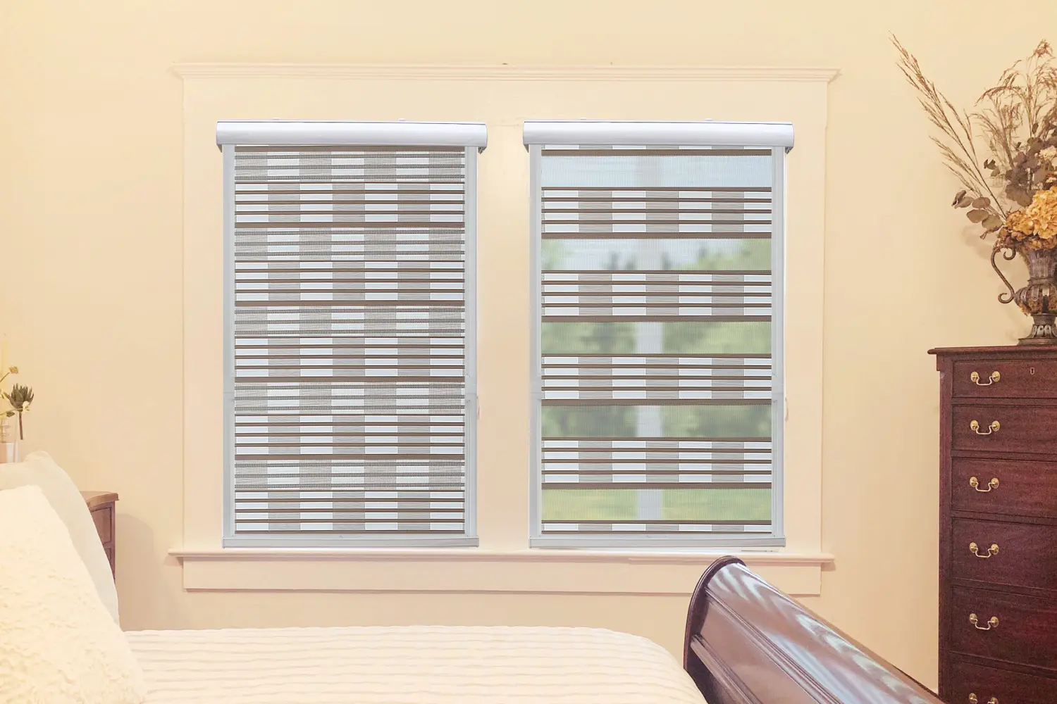 Window Blinds