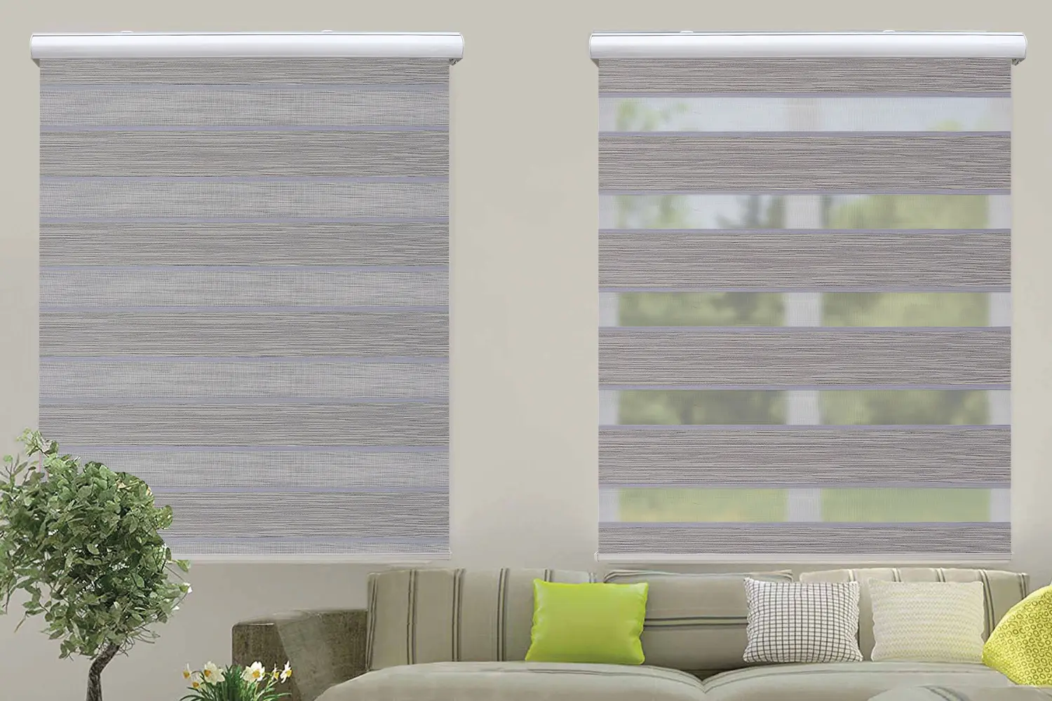 Window Blinds