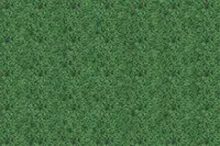 Adornis Artificial Grass / Artificial Plants store in Mumbai VG1003