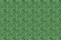 Adornis Artificial Grass / Artificial Plants store in Mumbai VG1005