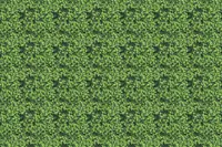 Adornis Artificial Grass / Artificial Plants store in Mumbai VG1007