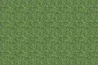 Adornis Artificial Grass / Artificial Plants store in Mumbai VG1008