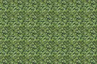 Adornis Artificial Grass / Artificial Plants store in Mumbai VG1009