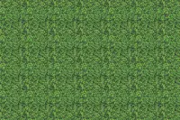 Adornis Artificial Grass / Artificial Plants store in Mumbai VG1012