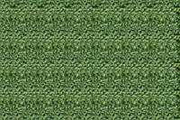 Adornis Artificial Grass / Artificial Plants store in Mumbai VG1014