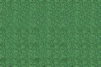 Adornis Artificial Grass / Artificial Plants store in Mumbai VG1017