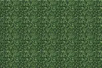 Adornis Artificial Grass / Artificial Plants store in Mumbai VG1019