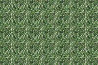 Adornis Artificial Grass / Artificial Plants store in Mumbai VG1023