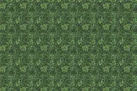 Adornis Artificial Grass / Artificial Plants store in Mumbai VG1027