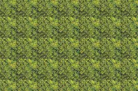 Adornis Artificial Grass / Artificial Plants store in Mumbai VG1030