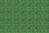 Adornis Artificial Grass / Artificial Plants store in Mumbai VG1034