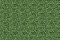 Adornis Artificial Grass / Artificial Plants store in Mumbai VG1035