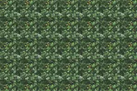 Adornis Artificial Grass / Artificial Plants store in Mumbai VG1039