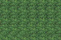 Adornis Artificial Grass / Artificial Plants store in Mumbai VG1042