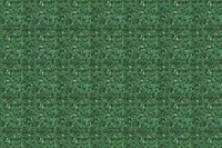 Adornis Artificial Grass / Artificial Plants store in Mumbai VG1047