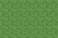 Adornis Artificial Grass / Artificial Plants store in Mumbai VG1060