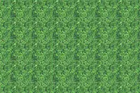 Adornis Artificial Grass / Artificial Plants store in Mumbai VG1063