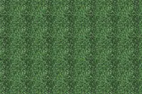 Adornis Artificial Grass / Artificial Plants store in Mumbai VG1064