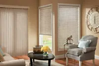 Window Blinds