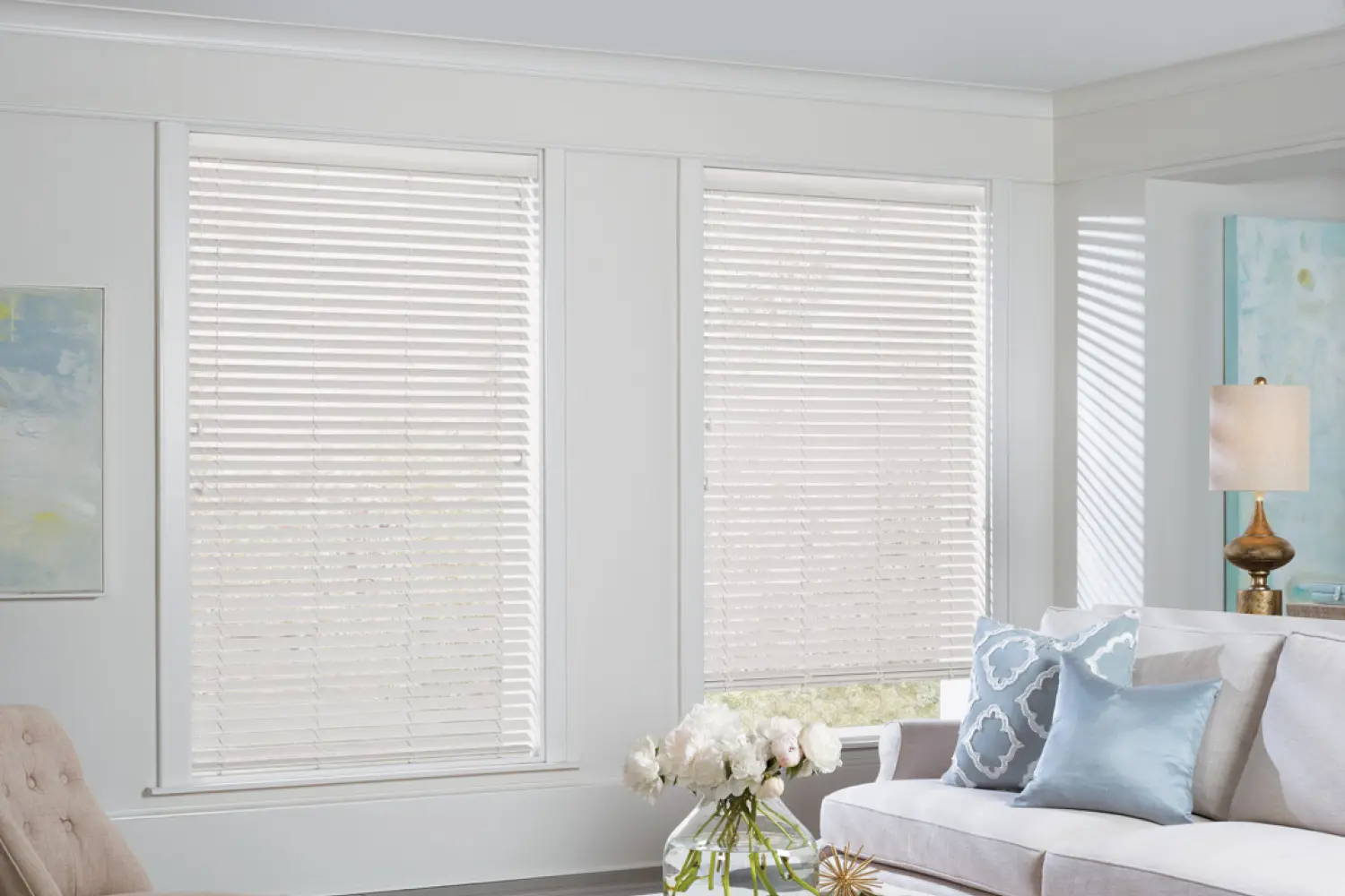 Window Blinds