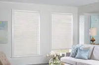 Window Blinds